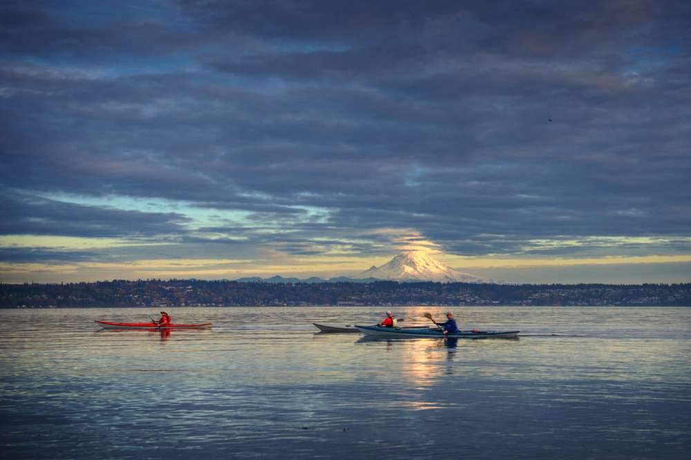 Moonlight Kayaking in Kochi – A Perfect Weekend Escape for Corporate Souls
