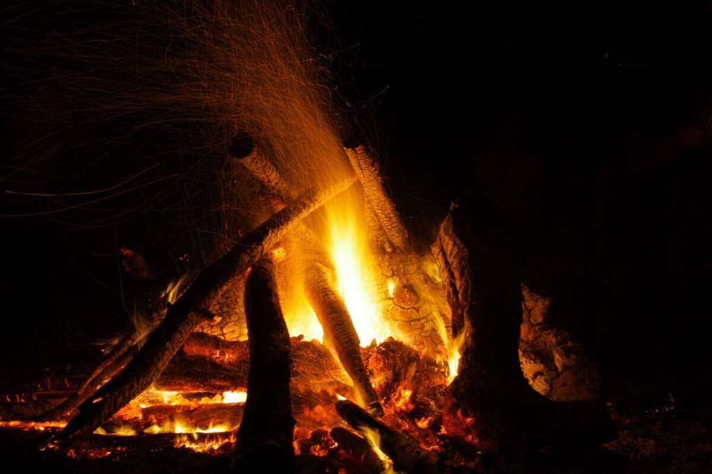 Explore Vagamon Tourism: Scenic Views, Adventure & Stay at Foggy&nbsp;Knolls