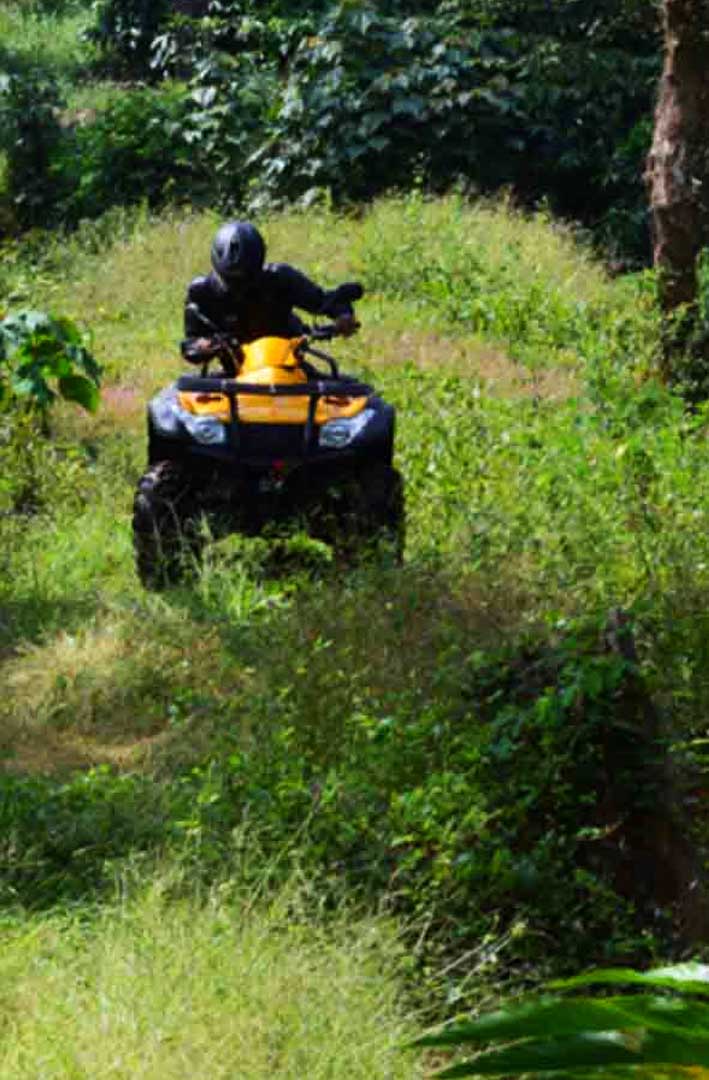 “Off-road jeep adventure at Misty Woods Resort in Coorg through forest trails and rugged plantation terrain.”