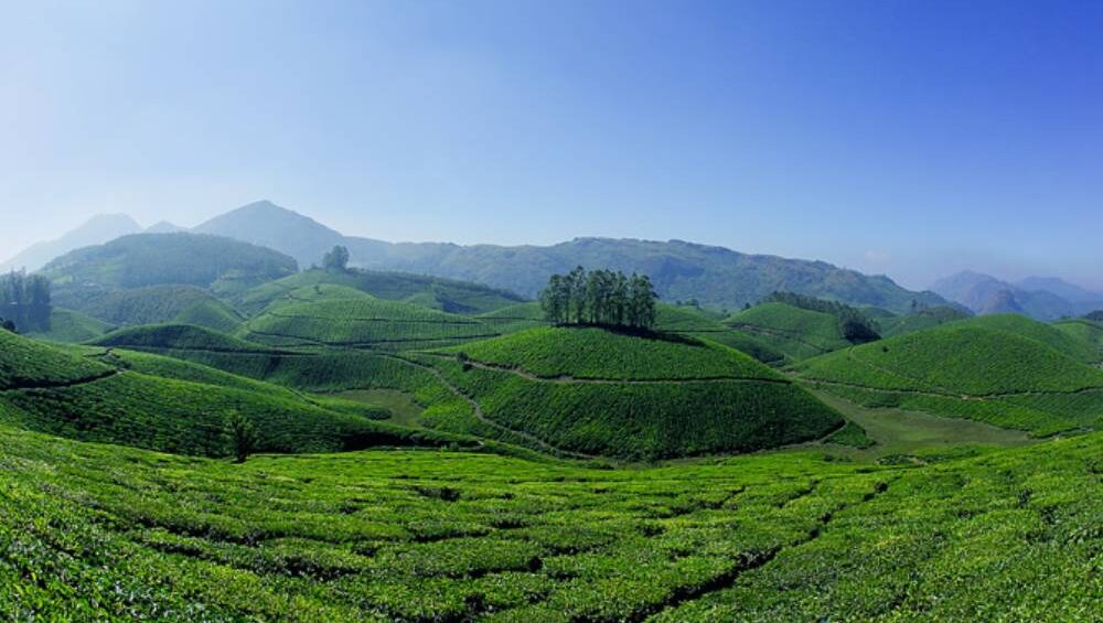 Kerala Tour Packages – Customized Holidays with Travelnote Holidays