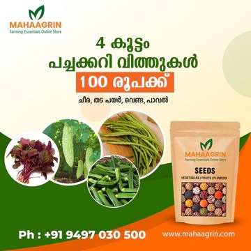 Vegetable seeds online from Mahagrin for home gardening