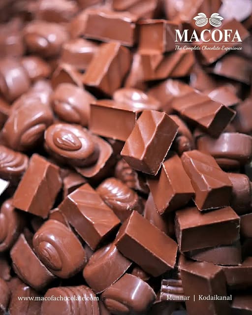 Macofa handmade chocolate bars from Munnar