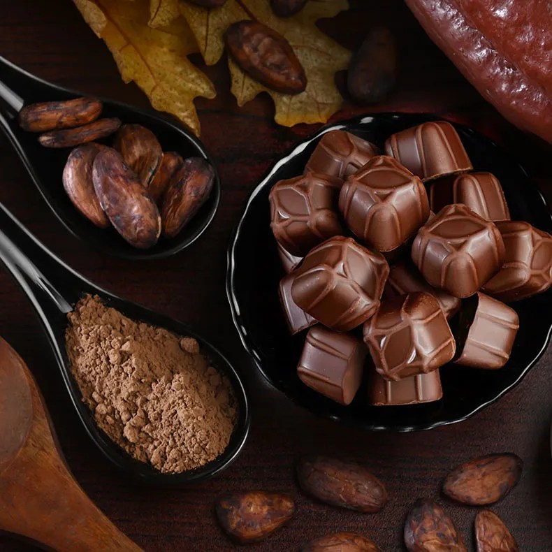Macofa handmade chocolates from Kerala made with premium cocoa