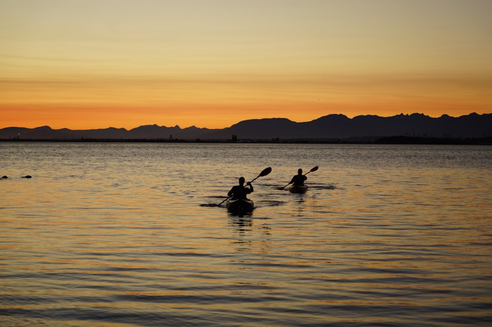 Sunset view during kayaking in Kochi backwaters


