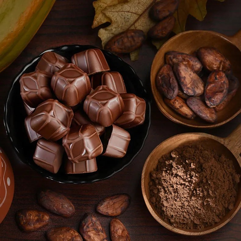 Macofa pure dark chocolate made from premium Kerala cocoa with smooth texture and rich cocoa flavor