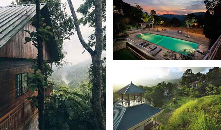 Tree house stay with swimming pool at Southern Panorama Indriya in Munnar surrounded by lush greenery