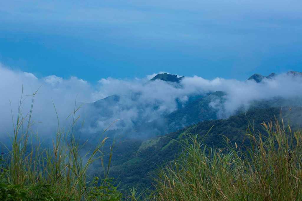 Misty hills of Vagamon with rolling meadows, pine forests, and lush green valleys under drifting clouds
