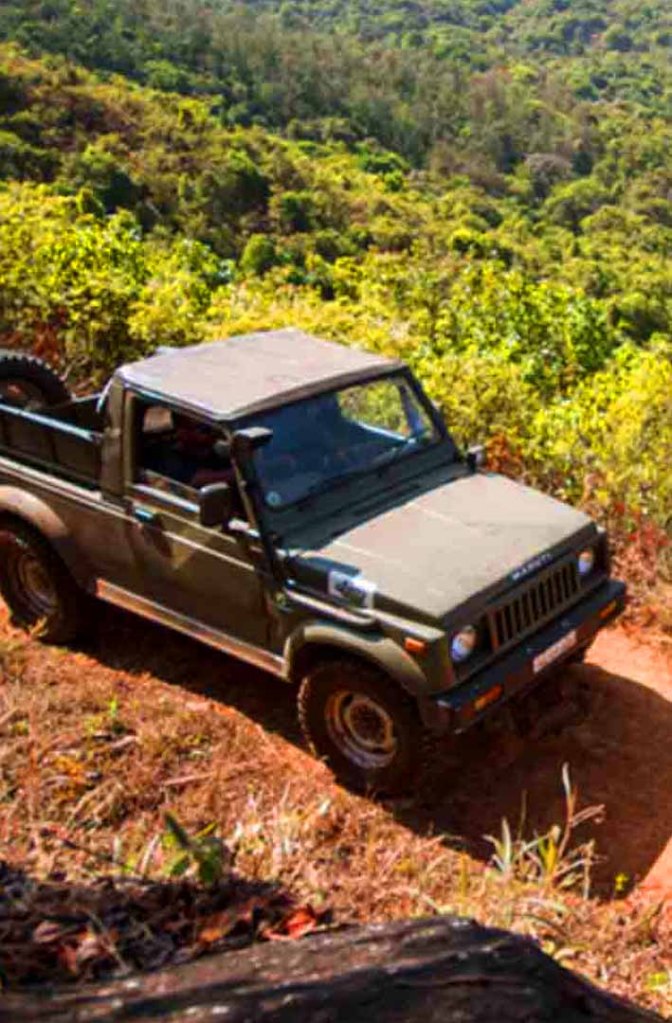 Adventure activities at Misty Woods Resort in Coorg including kayaking, rope courses, and off-roading in a natural forest setting