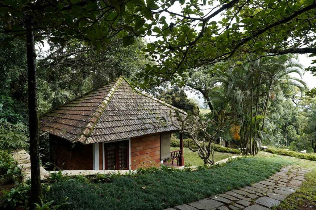 Nature-friendly cottages at Misty Woods Resort Coorg surrounded by lush greenery and plantation views