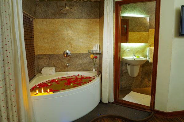 Luxury swimming pool at Cruise Land houseboat resort in Kumarakom surrounded by Kerala backwater views and tropical greenery