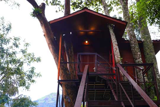Experience Luxury Amidst Nature at Southern Panorama Indriya Munnar