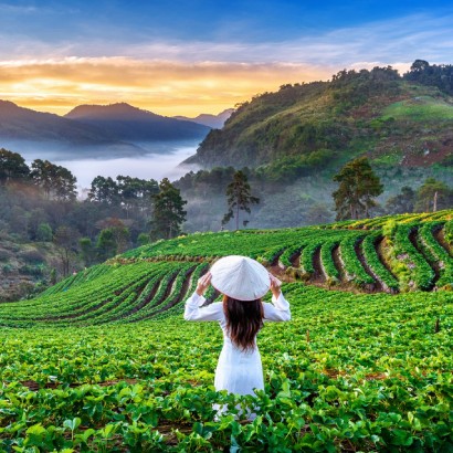 Best Kerala Honeymoon Packages with Munnar, Alleppey & Kovalam