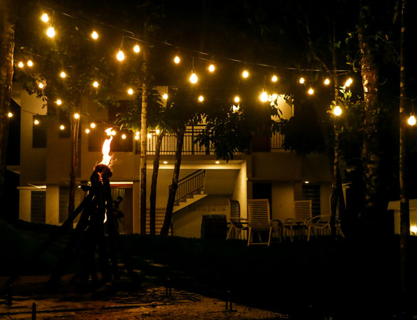 Why Winternote is a Preferred Munnar Resort Kerala for Couples and Families
