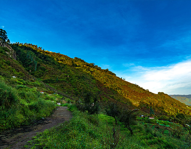 Serene Kodaikanal misty hills landscape with lush green valleys, calm mountain atmosphere, cool climate, and peaceful nature scenery in the Western Ghats.